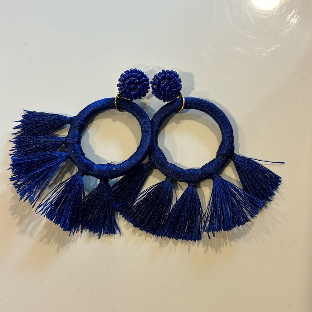 Blue Tassel Earrings